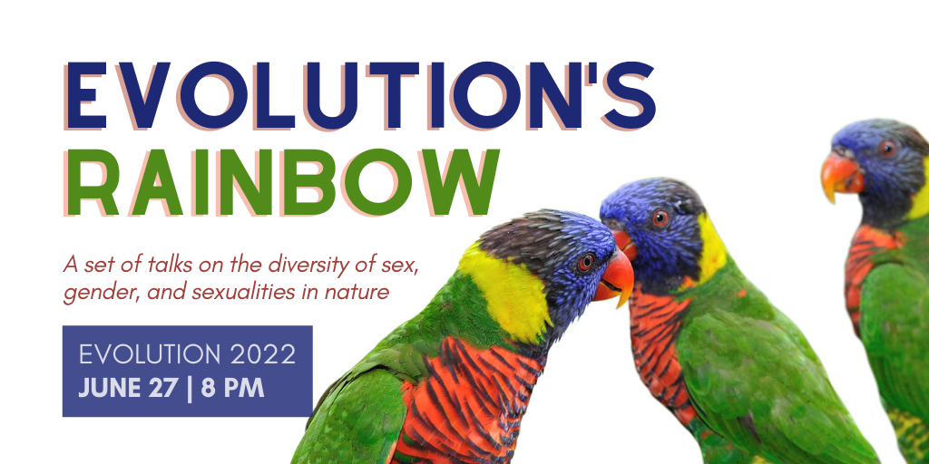The words Evoluton's Rainbow, A set of talks on the diversit of sex, gender, and sexualities in nature, Evolution 2022, June 27, 8 pm next to a photo of three rainbow lories, birds with blue, yellow, green, and orange feathers.